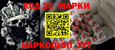 шишки Аргун