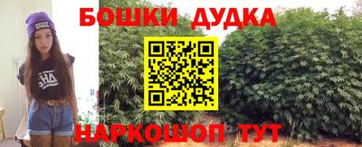 шишки Аргун