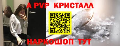 шишки Аргун
