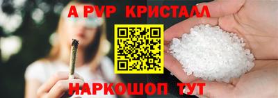шишки Аргун
