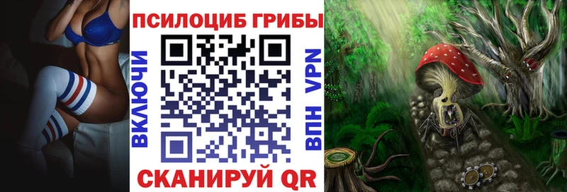сколько стоит  Белая Калитва  Галлюциногенные грибы Psilocybine cubensis 