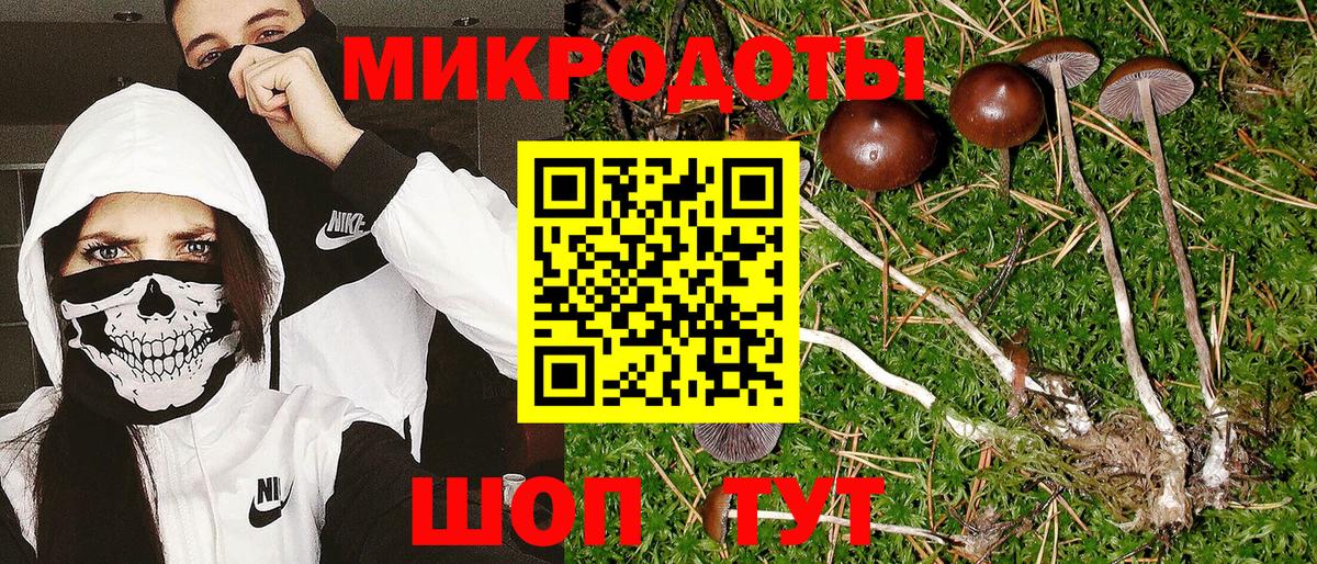 Псилоцибиновые грибы Magic Shrooms  Галлюциногенные грибы Psilocybine cubensis  Белая Калитва 
